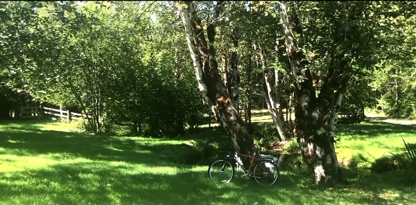 File:Bike.jpg