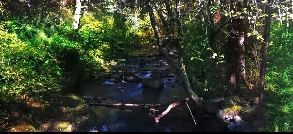 File:Creek.jpg
