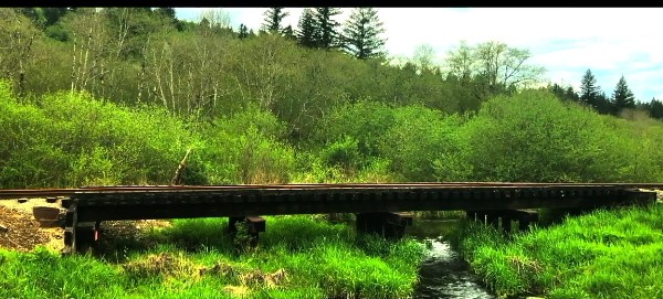File:Bridge.jpg