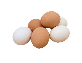 File:Eggs.png