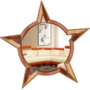 File:Badge-category-1.png