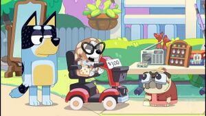 BLUEY Full Episodes.jpg