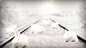 Count The Snow Bunnies.png