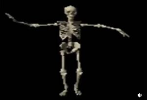 Spooky scary SKELETONS.jpg