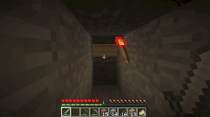 Minecraft Herobrine caught on camera! Sign in Mineshaft.png