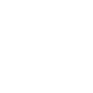 AI.png