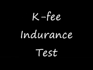 K fee Endurance Test.png