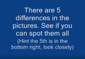 The text beginning of the video.