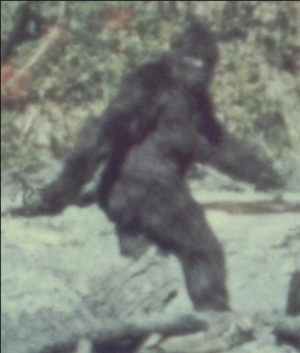 Obligatory female bigfoot joke.png