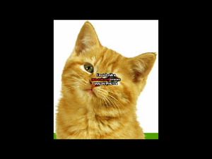 Kfeespeltbckwrds.png