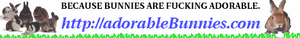 AdorableBunnies.png