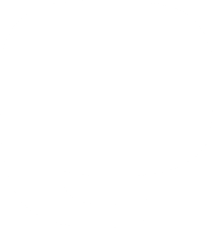 Fvicon.png