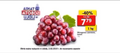 Thumbnail for version as of 07:44, 6 October 2025