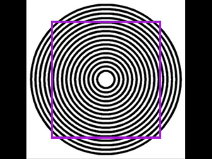 Mullerlyerillusion.png
