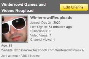 VidliiWinterrowd.png