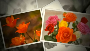 Screenshot 1771123227785.png