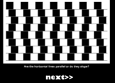 The second illusion.