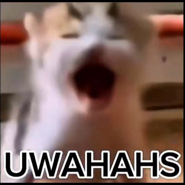 File:Uwahahs.png