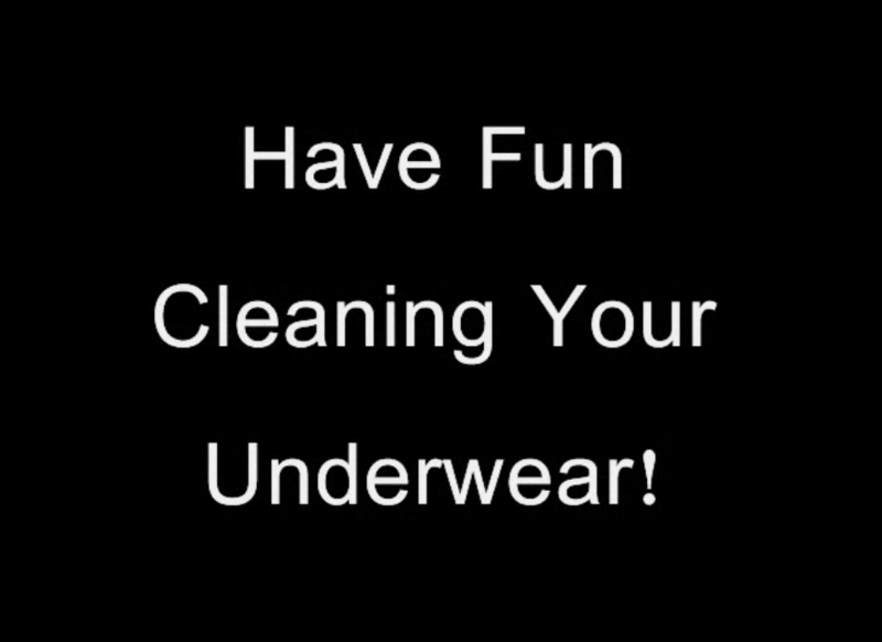 File:Havefuncleaning.png