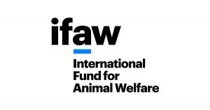 IFAW The chase.jpg