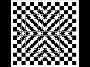 Opitcal Illusions Picture.jpg