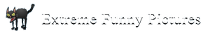 Extremefunnypictures.png