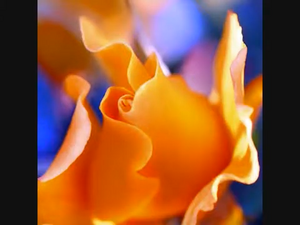 Relaxing Video 7.png