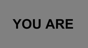 YOUARE2009.jpeg