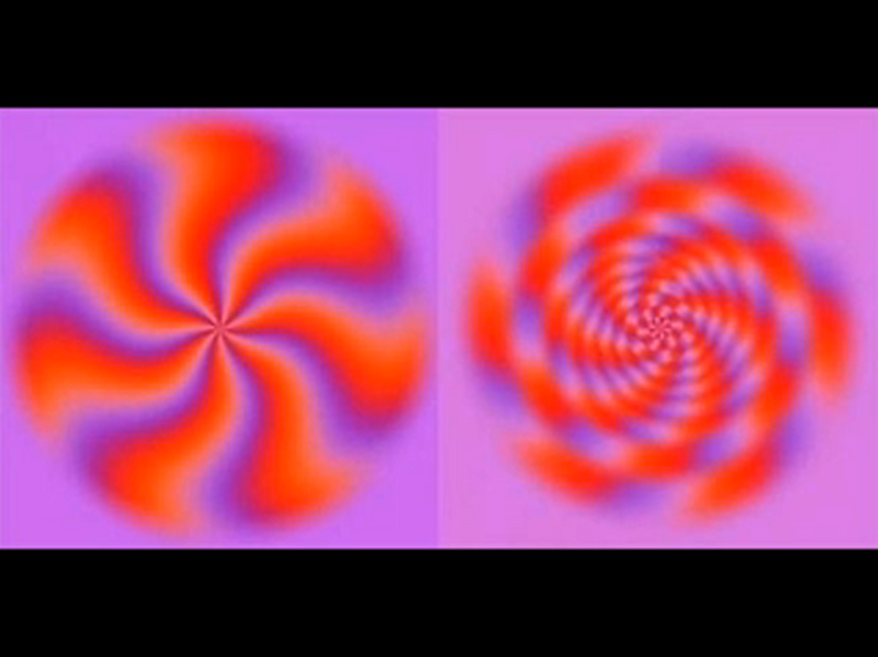 File:Exposure of Illusions.png