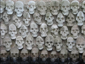 Skulls.jpg.png