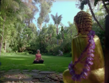 K-fee Buddha commercial.
