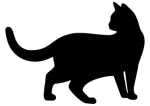 CatPerson.jpeg