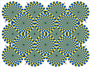 Crazy Optical Illusion 3.png