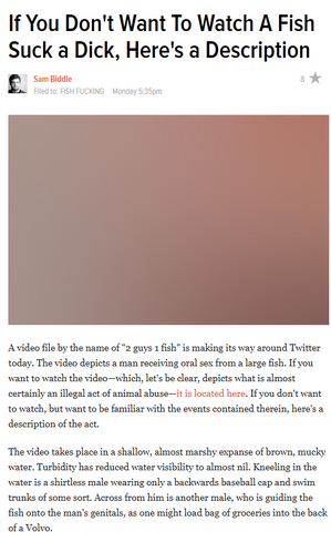 Gawker's story.png
