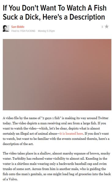 File:Gawker's story.png