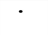 The black dot.