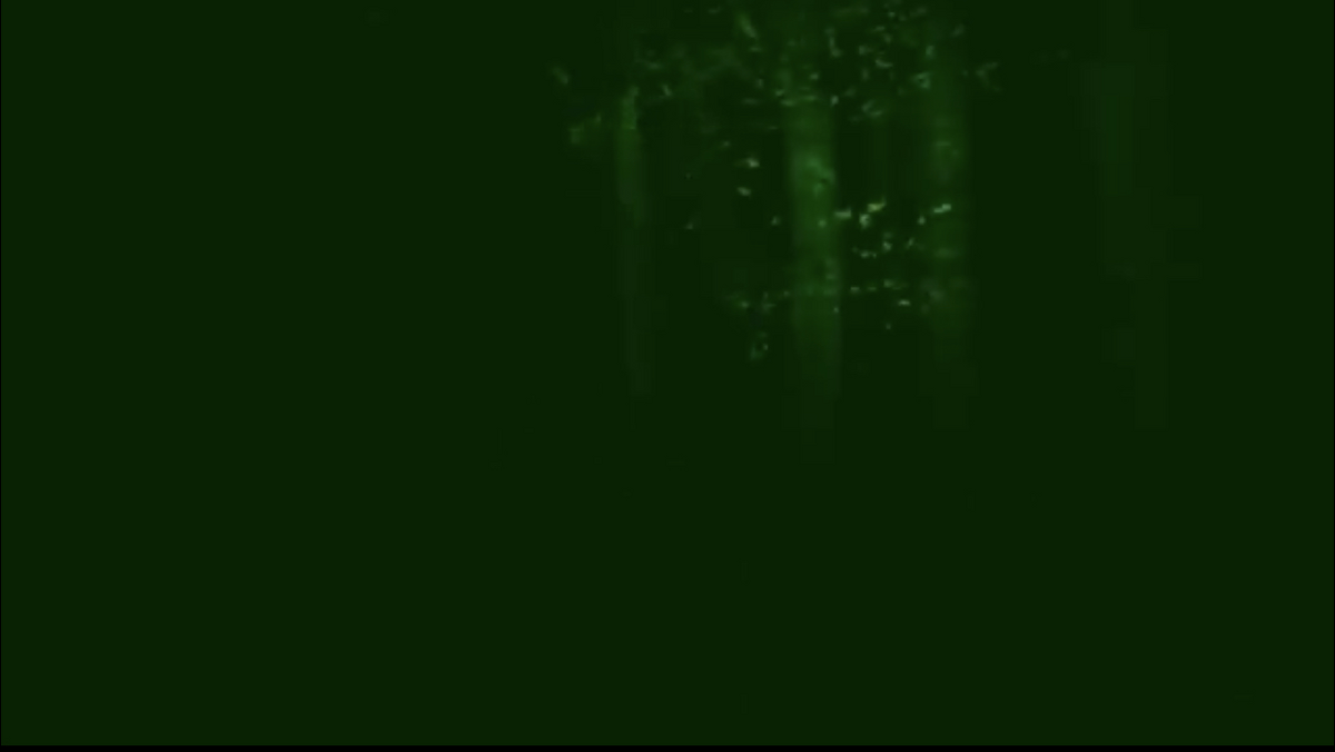 GOOD Scary Pop Up - Screamer Wiki