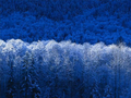 Thumbnail for version as of 09:13, 17 June 2026