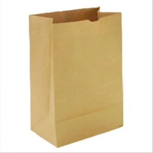 A paper bag.jpg