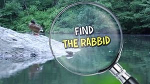 Video-find-the-rabbids-16x9.jpg