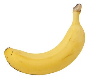 Singlebanana.jpg
