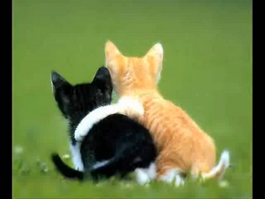 Sqeem4-N7cU mp4 25.626414.png