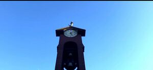 Clock Tower.jpg