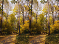Thumbnail for version as of 09:56, 28 May 2026