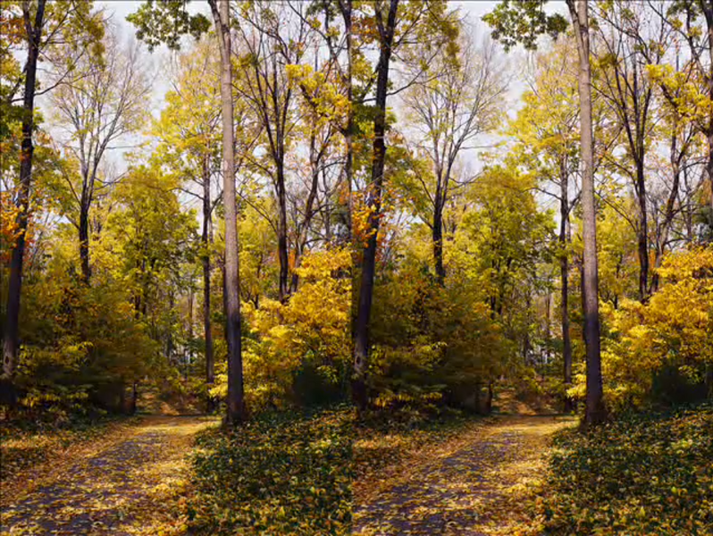 File:Spot the differnce.png