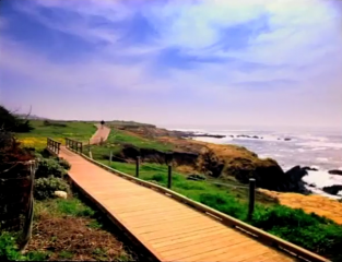 K-fee commercials - Screamer Wiki