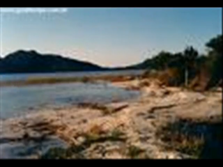 Relaxe - Screamer Wiki