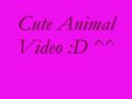 Thumbnail for version as of 10:45, 30 September 2026