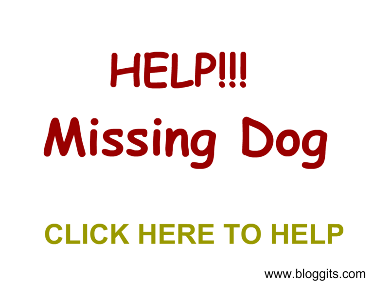 File:Help Find the Missing Dog menu.png